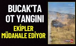 Bucak'ta Yangın: İtfaiye Ekipleri Müdahale Ediyor