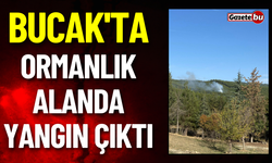 Bucak'ta Ormanlık Alanda Yangın Çıktı
