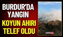 Burdur Gölhisar'da Yangın ! Koyun Ahırı ve Samanlar Telef Oldu