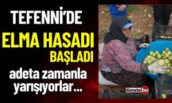 Burdur Tefenni'de Elma Hasadı Başladı