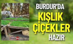 Burdur'da Kışlık Çiçekler Hazır
