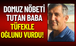 Domuz nöbeti tutan baba tüfekle oğlunu vurdu!