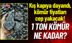 Kış kapıya dayandı, kömür fiyatları uçtu! 1 ton kömür ne kadar?