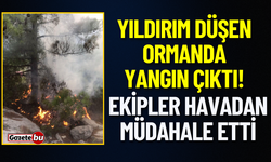 Yıldırım Düşen Ormanda Yangın Çıktı! Ekipler Havadan Müdahale Etti