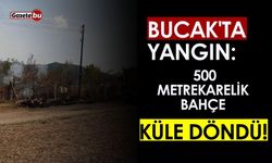 Bucak'ta Yangın: Bahçe ve Ağaçlar  Zarar Gördü