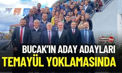 Bucak AK Parti Aday Adayları Temayül Yoklamasında