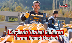 Çiftçilerin Yüzünü Güldüren Hurma Hasadı Başladı