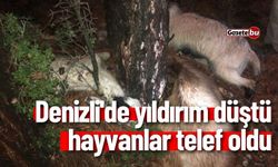 Denizli'de Yıldırım Düştü Hayvanlar Telef Oldu