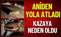 Aniden Yola Çıktı, Kazaya Neden Oldu