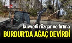 Kuvvetli Rüzgar ve Fırtına Burdur'da Ağaç Devirdi