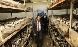 Vali Öksüz, Dirmil'de İncelemelerde Bulundu