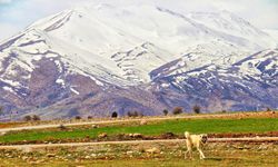 Kahramanmaraş'a yılın ilk karı yağdı, kartpostallık görüntüler yakalandı