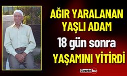 Ağır Yaralanan Yaşlı Adam 18 Gün Sonra Öldü