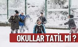 Son Dakika - 29 Kasım Okullar Tatil mi ? Bugün Okullar Tatil mi ?