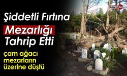 Şiddetli Fırtına Mezarlığı Tahrip Etti