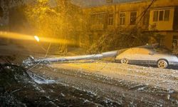 Ukrayna'da Kar Fırtınası Can Aldı