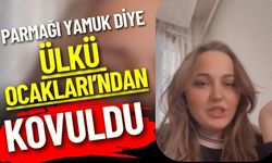 Ülkü Ocakları'ndan "Yamuk Bozkurt" Nedeniyle Kovuldu