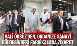 Vali Öksüz'den, Organize Sanayi Bölgesindeki Fabrikalara Ziyaret