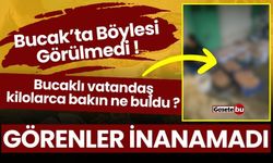 Bucak'ta Böylesi Görülmedi! Bucaklı Vatandaş Kilolarca Bakın Ne Buldu?