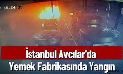 İstanbul Avcılar'da Yemek Fabrikasında Yangın