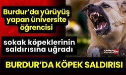 Burdur'da Başı Boş Köpekler Genç Kıza Saldırdı