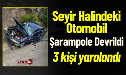 Seyir Halindeki Otomobil Şarampole Devrildi: 3 Kişi Yaralandı