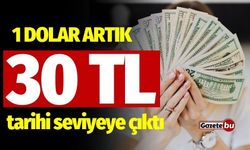 1 Dolar Artık 30 TL Tarihi Zirveyi Gördü