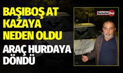 Başıboş at kazaya neden oldu: Araç hurdaya döndü