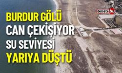 Burdur Gölü can çekişiyor: Su seviyesi yarıya düştü