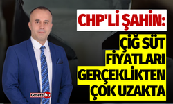 CHP'li Şahin: Çiğ süt fiyatları gerçeklikten çok uzakta