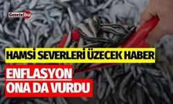 Hamsi severleri üzecek haber: Enflasyon hamsiye de vurdu