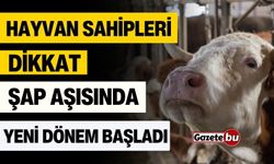 Hayvan sahipleri dikkat! Şap aşısında yeni dönem başladı