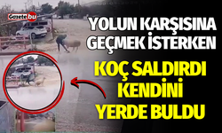 Yolun karşısına geçen adam, koçun saldırısına uğradı