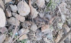 İzmir'de aylardır aranan katil kocanın kemikleri bulundu