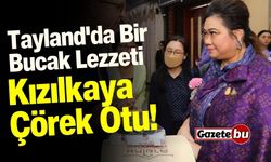 Tayland'da Bucak Lezzeti: Kızılkaya Çörek Otu!