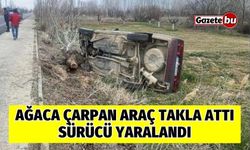 Ağaca Çarpan Araç Takla Attı: Sürücü Yaralandı