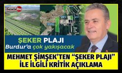 Mehmet Şimşek’ten “Şeker Plajı” İle İlgili Kritik Açıklama