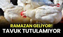 Ramazan geliyor!  Tavuk tutulamıyor