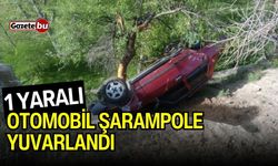 Otomobil şarampole yuvarlandı: 1 yaralı