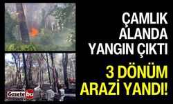 Manavgat'ta çamlık alanda yangın: 3 dönüm arazi yandı!