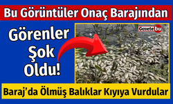 Bucak’ta Şok Eden Görüntüler! Onaç Barajında Balıklar Ölüyor