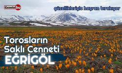 Torosların Saklı Cenneti: Eğrigöl