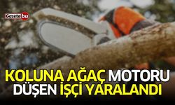 Koluna ağaç motoru düşen işçi yaralandı