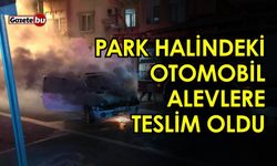 Park halindeki otomobil alevlere teslim oldu