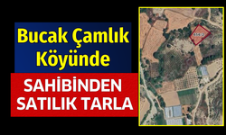 Bucak Çamlık Köyünde Satılık Tarla