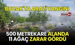 Bucak'ta Arazi Yangını: 500 Metrekare Alanda 11 Ağaç Zarar Gördü