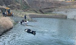 Gölete düşen inek, 4 saat süren çalışmayla sudan çıkarıldı