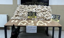 Polis köpeği Jessie, toprağa gömülü 820 bin hapı buldu