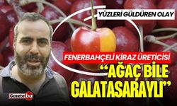 Fenerbahçeli kiraz üreticisi: "Ağaç bile Galatasaraylı çıktı"