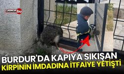 Burdur'da kapıya sıkışan kirpinin imdadına itfaiye yetişti